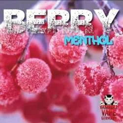 10ml Vampire Vape Berry Menthol Liquid (Beeren Menthol)