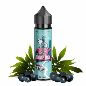 187 Shortfills Miami Vize