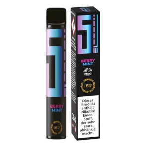 5EL Einweg E-Shisha Berry Mint 16mg