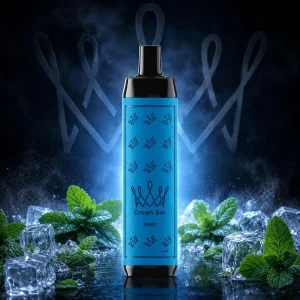 Al Fakher 600 Mint
