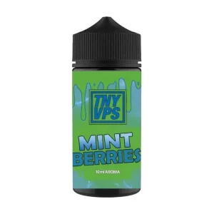 Aroma Mint Berries - TNYVPS (10/100ml)