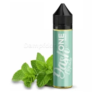 Aroma One Mint | Dash Liquids | Dampfdorado