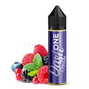 Aroma One Wildberries | Dash Liquids | Dampfdorado