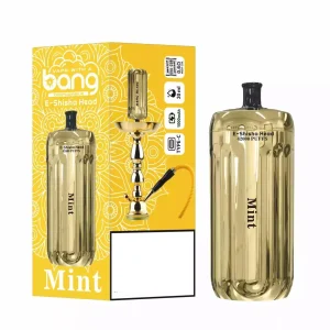 BANG Blaze E Shisha 42K DSK038 42K Züge Einweg E Zigarette Digital Display Wiederaufladbar