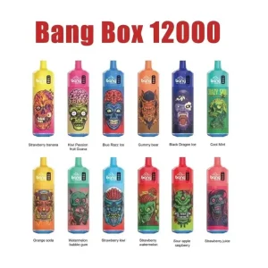 BANG Box 12K Züge Einweg E Zigarette Wiederaufladbar