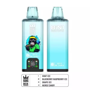 BANG BOX 200K 8IN1 200K Züge Einweg E Zigarette Digital Display Nikotinfrei