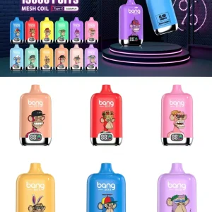 BANG Box Vape 15K Züge Einweg E Zigarette Wiederaufladbar