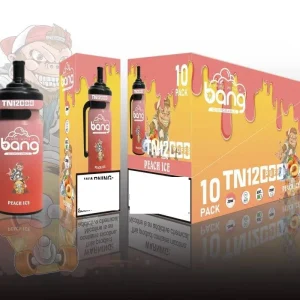 BANG Bulk Disposable Vapes original 12K Züge Einweg E Zigarette