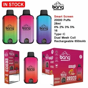 BANG Dual Mesh 20K Züge Einweg E Zigarette Wiederaufladbar