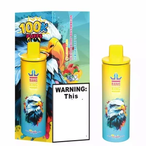 BANG KING 100K DSK043 100K Züge Einweg E Zigarette