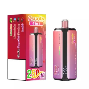 BANG KING 250K DSK074 250K Züge Einweg E Zigarette Mesh Coil Digital Display
