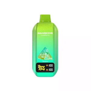 BANG KING CITY DSK044 50K Züge Einweg E Zigarette Digital Display Wiederaufladbar
