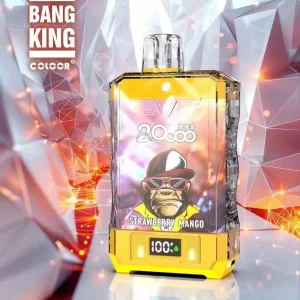 BANG King Double Crystal 20K Züge Einweg E Zigarette Wiederaufladbar Nikotinfrei