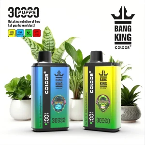 BANG King Double Flavor 30K Züge Einweg E Zigarette Wiederaufladbar