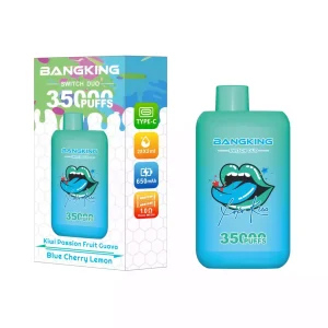 BANG KING DSK045 35K Züge Einweg E Zigarette Digital Display Wiederaufladbar