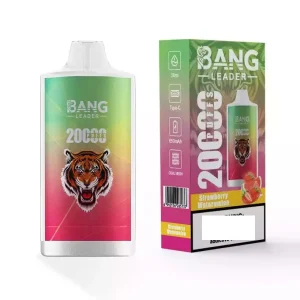 BANG LEADER 20K Züge Einweg E Zigarette Digital Display Wiederaufladbar