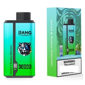 BANG LEADER 30K Züge Einweg E Zigarette Digital Display Wiederaufladbar