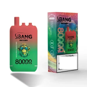 BANG LEADER 80K Züge Einweg E Zigarette Wiederaufladbar