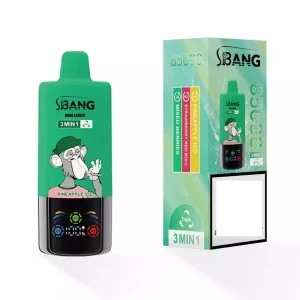 BANG LEADER 85K Züge Einweg E Zigarette Digital Display Wiederaufladbar