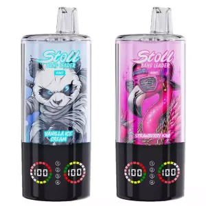 BANG LEADER STOLL 100K 100K Züge Einweg E Zigarette Mesh Coil Nikotinfrei