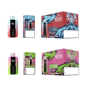 BANG Rechargeable Disposable 25K Züge Einweg E Zigarette Wiederaufladbar Nikotinfrei