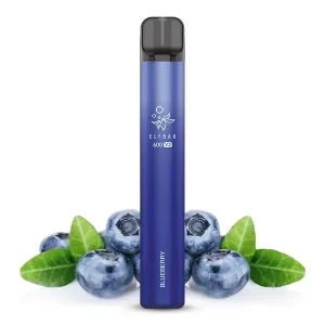 Elf Bar 600 V2 Bluerberry