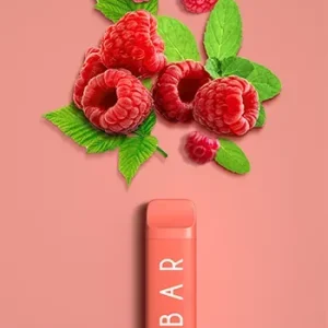 Elf Bar NC600 Raspberry