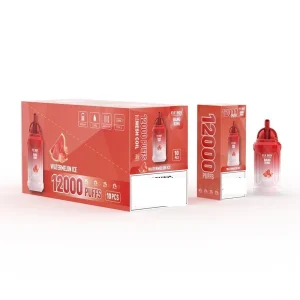 ELF BOX BK12000 12K Züge Einweg E Zigarette Wiederaufladbar