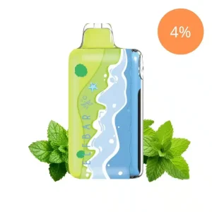 Elfbar Ice King 40000 Dreifach Minze | Eniweg Vape Deutschland