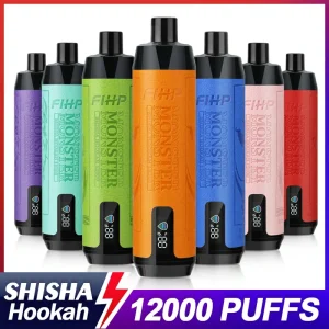 FIHP Shisha Hookah 12K Züge Einweg E Zigarette Wiederaufladbar