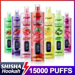 FIHP Shisha Hookah Pro 15K Züge Einweg E Zigarette Wiederaufladbar
