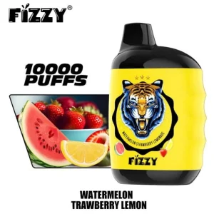 FIZZY Great 10K Züge Einweg E Zigarette Wiederaufladbar