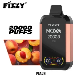 FIZZY Nova 20K Züge Einweg E Zigarette Dual Mesh Digital Display