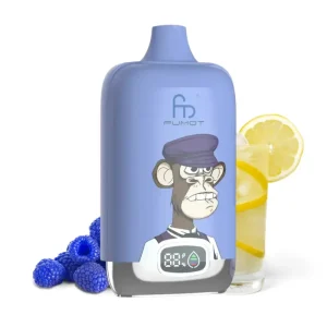Fumot Digital Box 12000 Blue Razz Lemonade günstig kaufen ab 15,99€