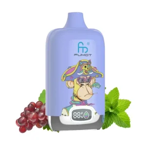Fumot Digital Box 12000 Grape Mint kaufen | 12.000 Züge Vape