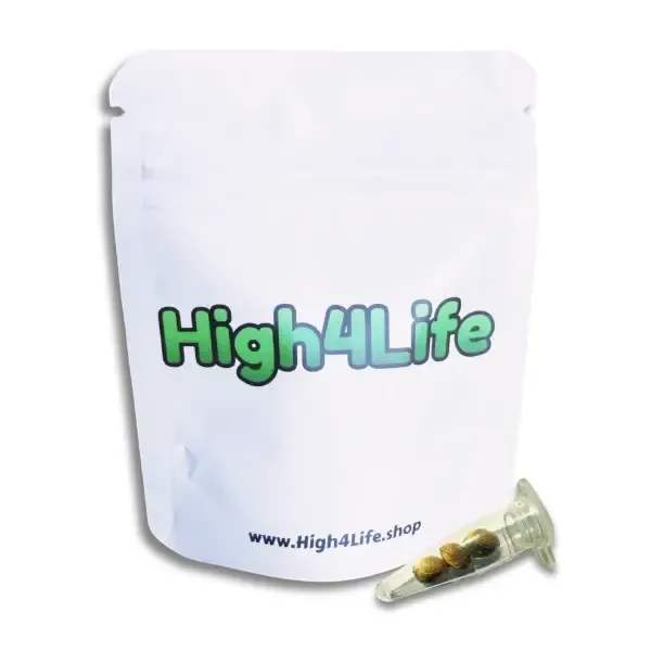 High4LifeSeeds | Cristal Kush Auto | 3 Samen