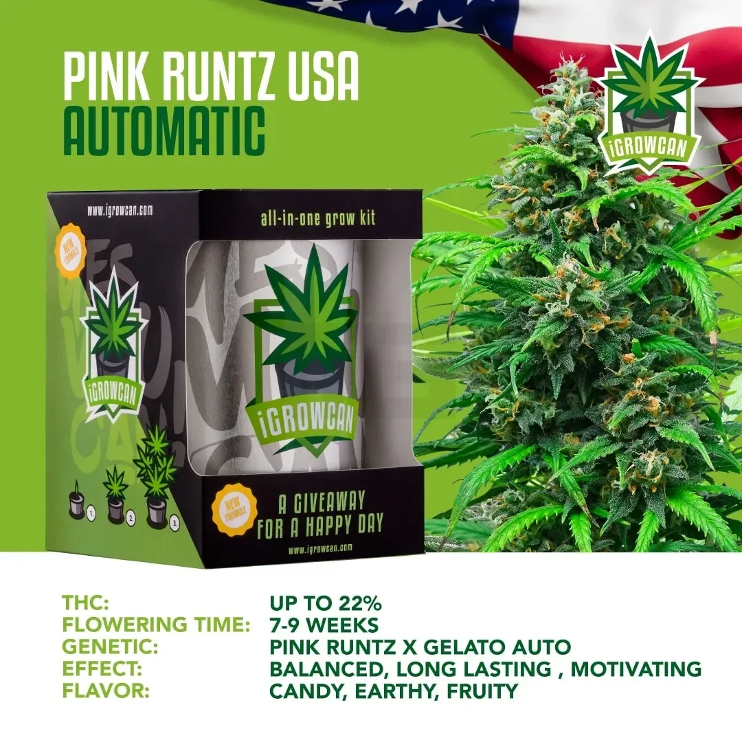 iGrowCan – Automatic – Pink Runtz USA