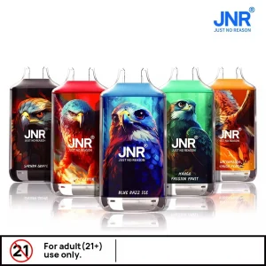 JNR Falcon 16K Züge Einweg E Zigarette Dual Mesh Wiederaufladbar