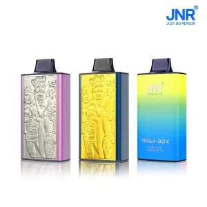 JNR Mega Box 25K Züge Einweg E Zigarette Dual Mesh Wiederaufladbar