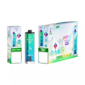 JNR Shisha Hookah Max 22K Züge Einweg E Zigarette