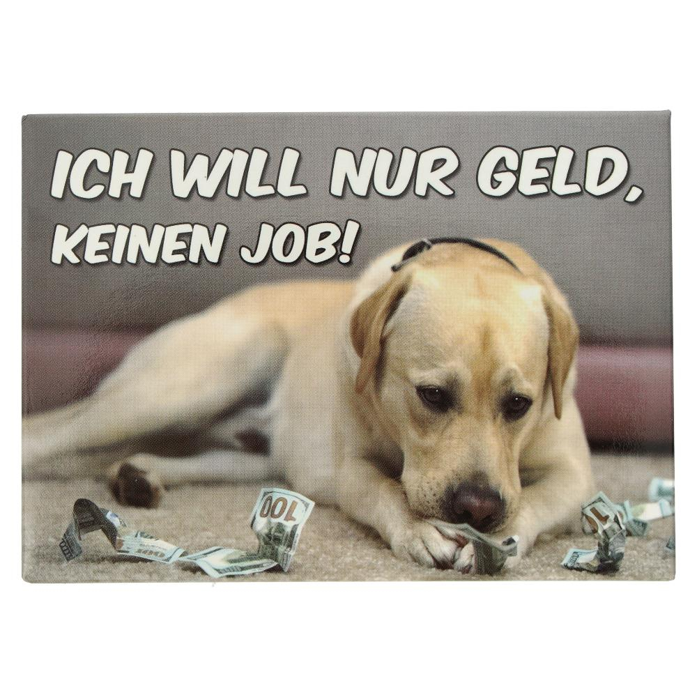 Kühlschrankmagnet ICH WILL NUR GELD, KEINEN JOB! 9×6,5cm