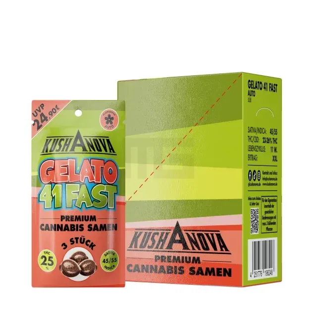 Kushanova – Gelato 41 Fast – 3 Samen