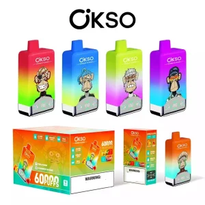 OKSO Double Tastes 60 Züge Einweg E Zigarette Digital Display Wiederaufladbar