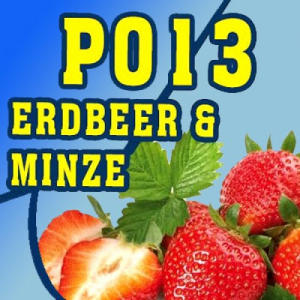 P013 – 325ml Shisha Molasse – Erdbeere und Minze