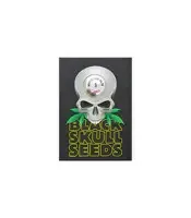 Pepper Jack Haze (Blackskull Seeds)