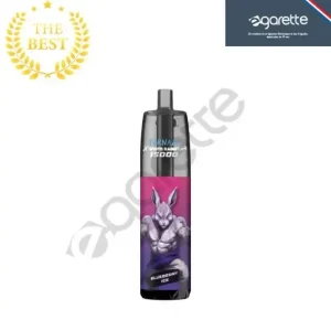 Puff-Hybride Blueberry Ice Tornado 15000 – RandM & White Rabbit