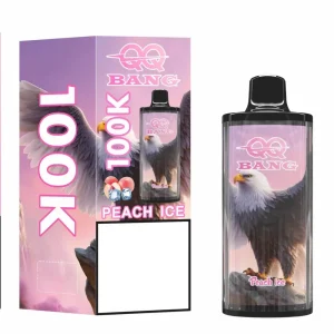 QQBANG 100K DSK075 100K Züge Einweg E Zigarette Dual Mesh Wiederaufladbar
