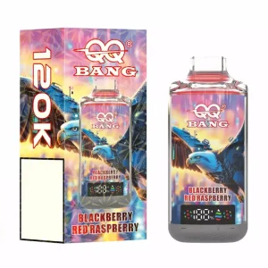QQBANG 120K DSK079 120K Züge Einweg E Zigarette Dual Mesh Digital Display