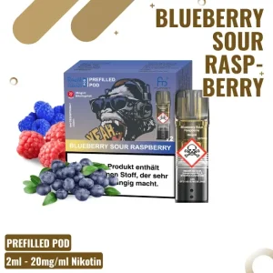 RandM Tornado Blueberry Sour Raspberry Pods – 2er Pack
