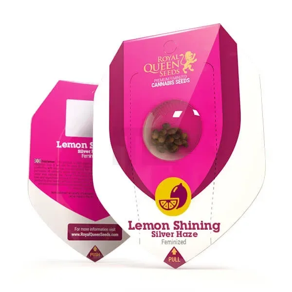 Royal Queen Seeds – Feminized – Lemon Shining Silver Haze – 3 Samen